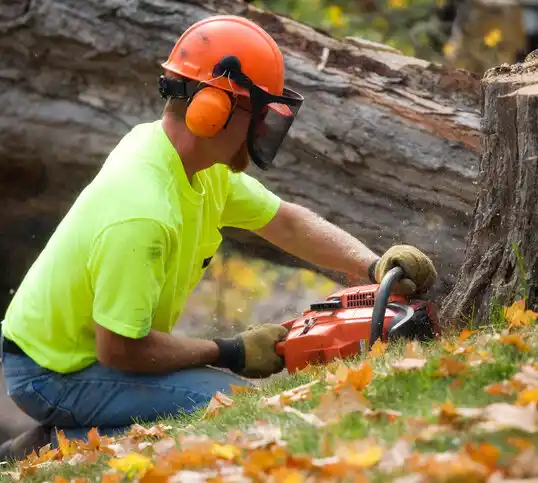 tree services Ridgefield